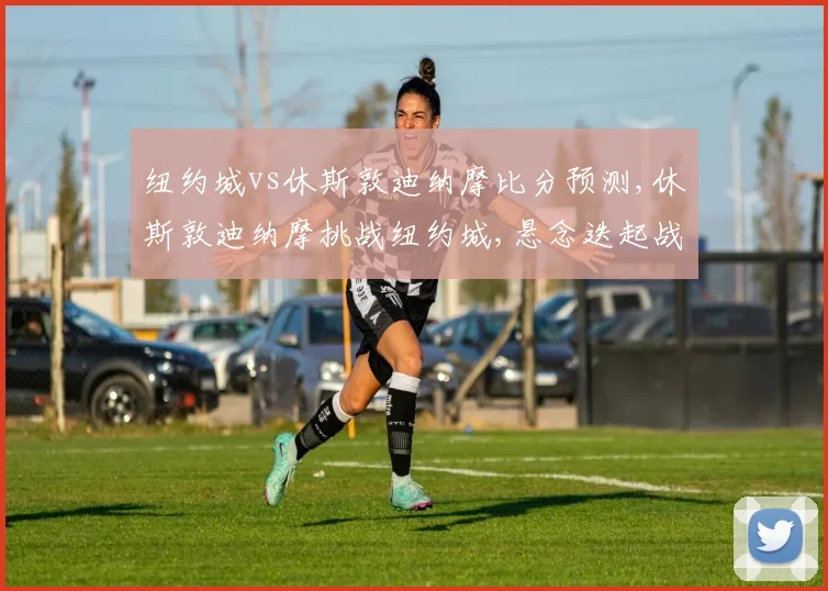 纽约城vs休斯敦迪纳摩比分预测,休斯敦迪纳摩挑战纽约城,悬念迭起战况预测