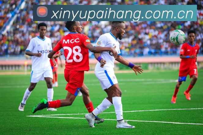 未来规划